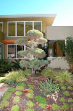 Private Residence, Aptos